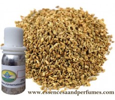 معرفی و راهنمای پرورش گیاهان دارویی - زنیان